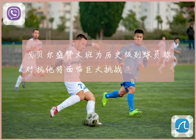 戈贝尔盛赞文班为历史级别球员称对抗他将面临巨大挑战